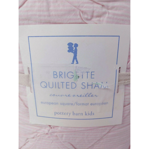 Pottery Barn Kids Brigette Ruffle Quilted Shams Pair‎ 2 European Square 26" NEW - Picture 6 of 12